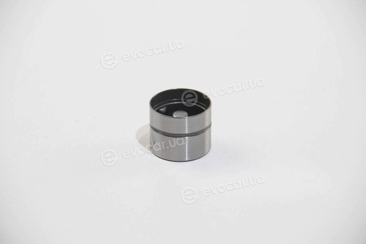 BGA HL6319