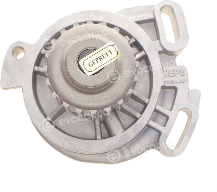 Hepu P527