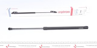 Lesjofors 8195054