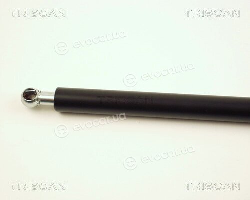 Triscan 8710 25220