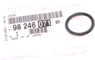 Mopar (PSA / FCA) 9824607180