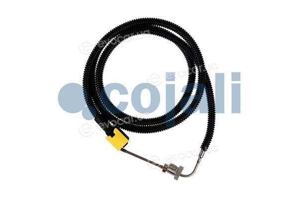 Cojali 2260881