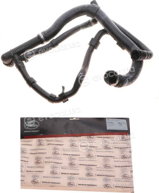 Gates 05-5382