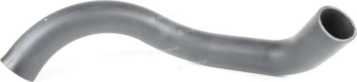 Zilbermann 04-646