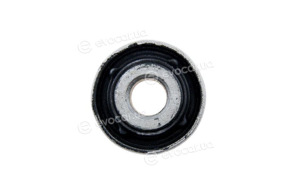 NTY ZTT-SB-006C