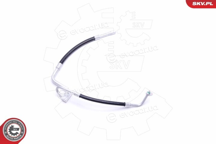SKV 43SKV506