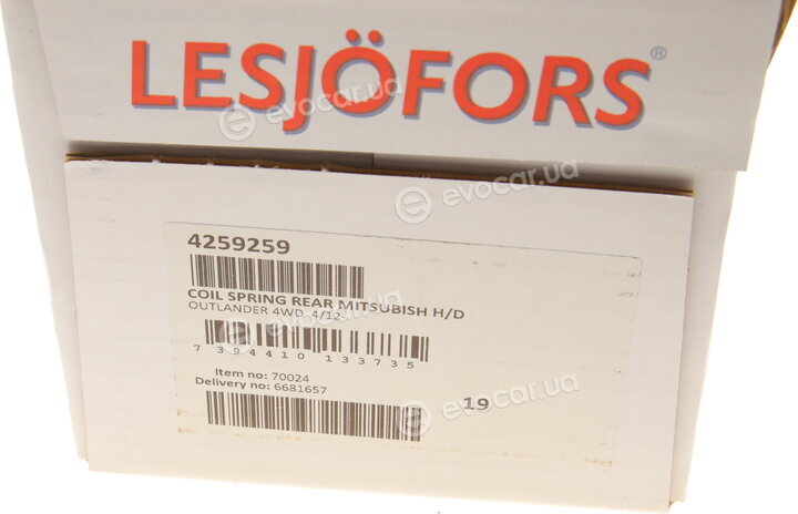 Lesjofors 4259259