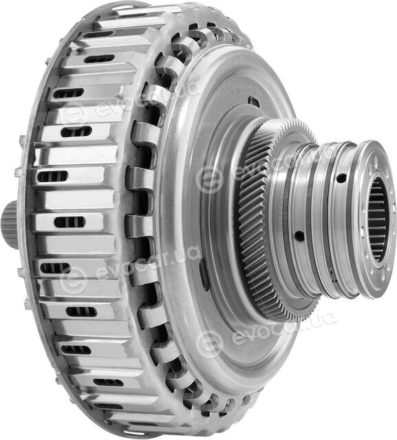 BorgWarner 202154