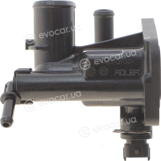 Adler 1607738580