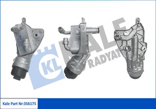 Kale 356175