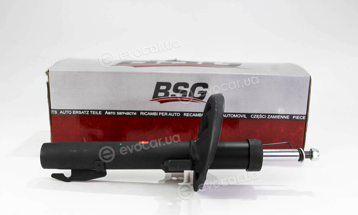 BSG BSG 75-300-003
