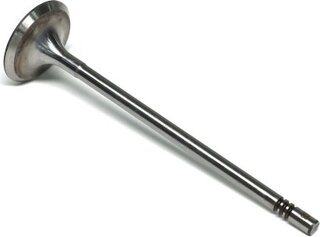 Gunes 6048