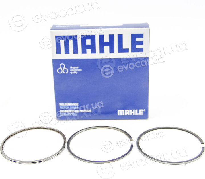 Mahle 030 20 V0