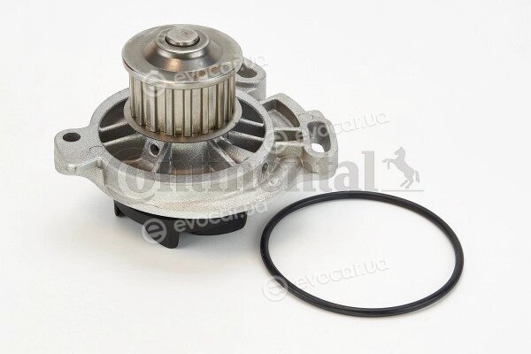 Continental WP6051