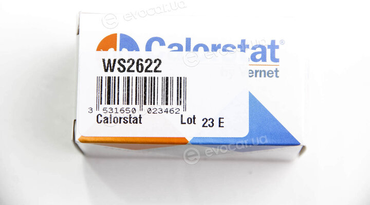Vernet / Calorstat WS2622