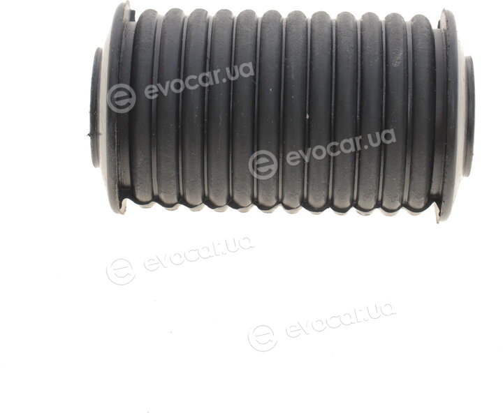 Belgum BG1808