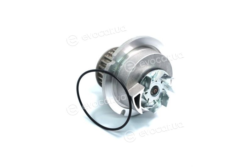 Metelli 24-0727