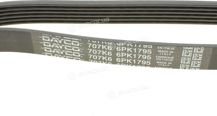 Dayco 6PK1795