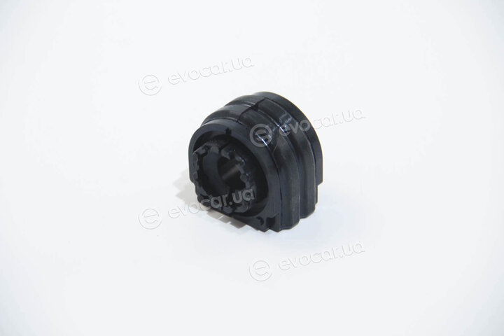 BC Guma 0266