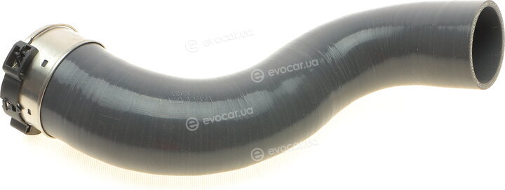 Solgy 114194
