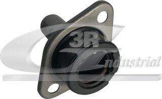 3RG 24220