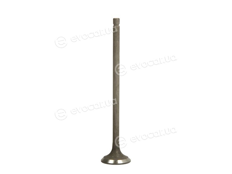 Freccia R4901/RNT