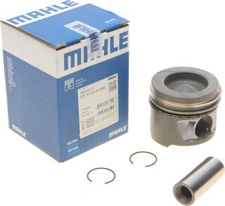 Mahle 021 PI 00124 000