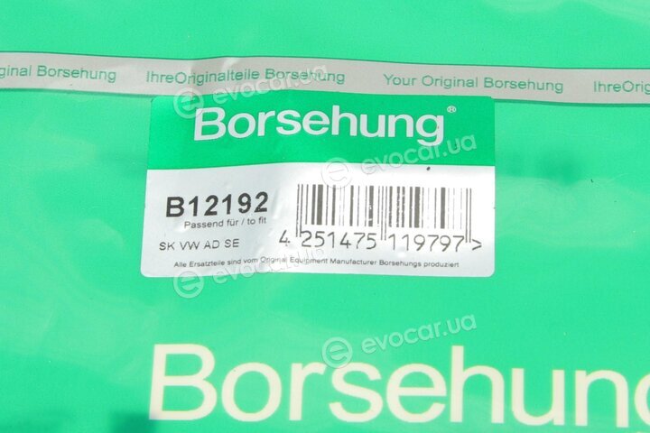 Borsehung B12192