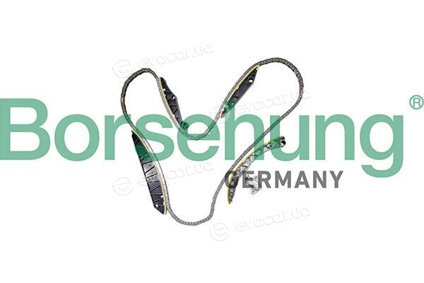 Borsehung B12963