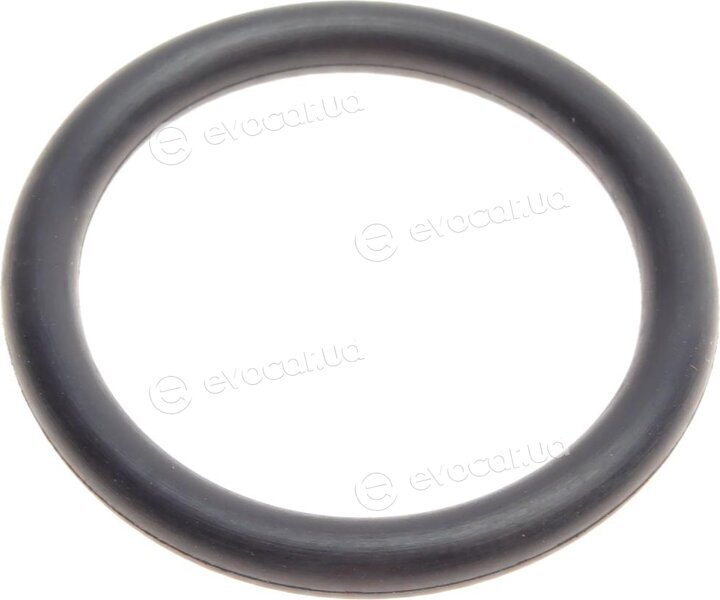 Elring 550.150