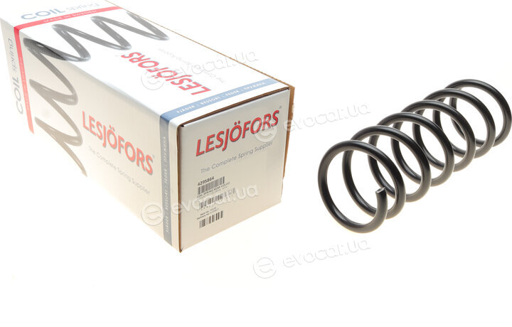 Lesjofors 4295864