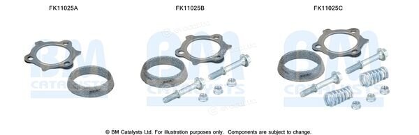 BM Catalysts FK11025