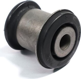 Sasic 2250024