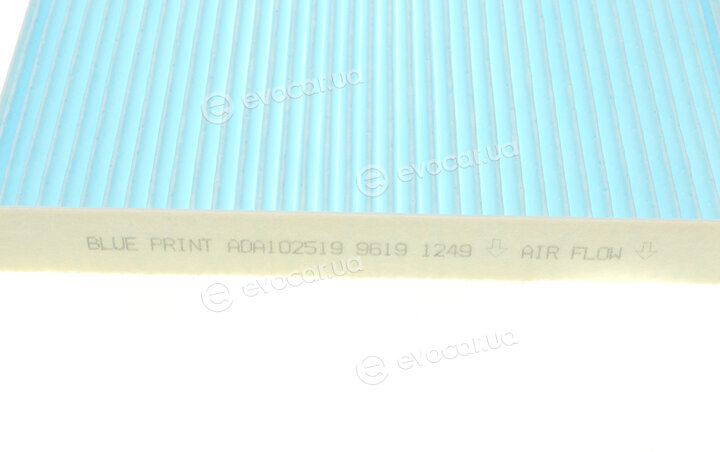 Blue Print ADA102519