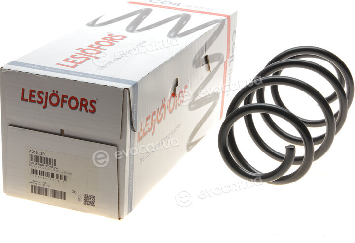 Lesjofors 4095119