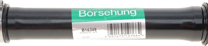 Borsehung B18349