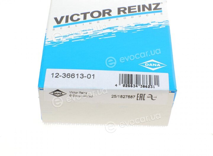 Victor Reinz 12-36613-01