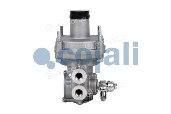 Cojali 2220332
