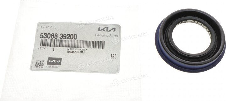 Kia / Hyundai 5306839200