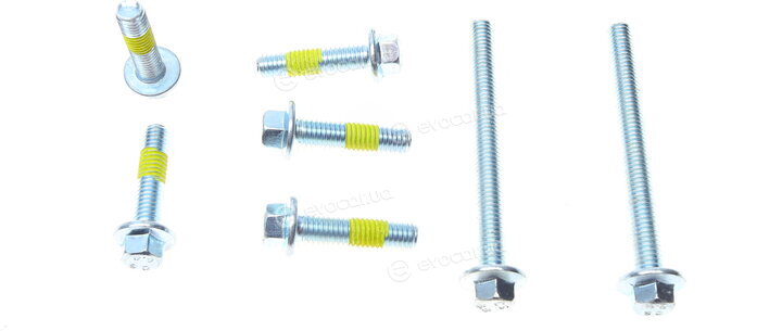 Dayco KBIOWP020