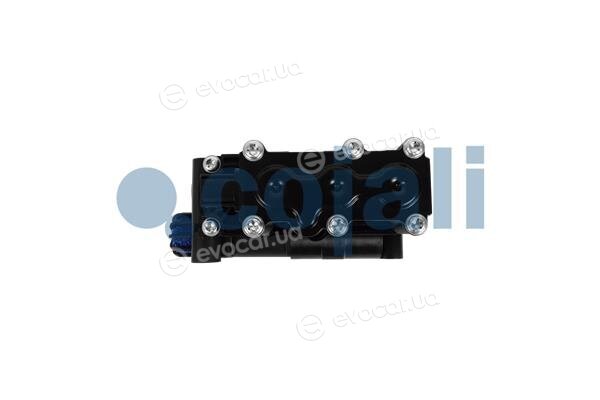 Cojali 2209476