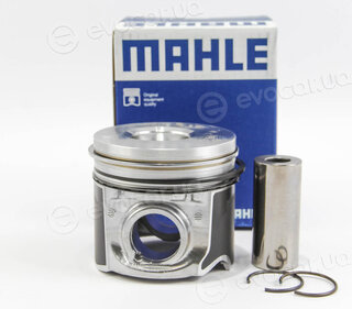 Mahle 009 89 01