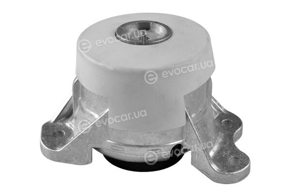 Tedgum TED46349