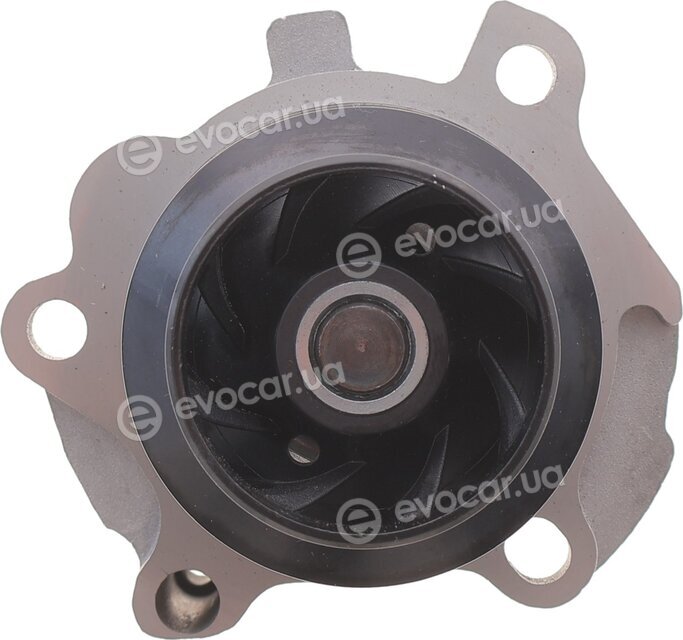 Dayco KTBWP2532