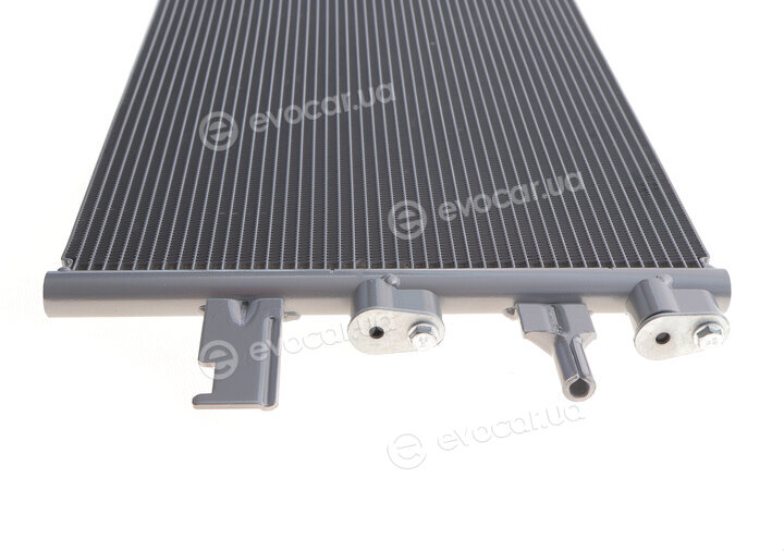 Van Wezel 06005607