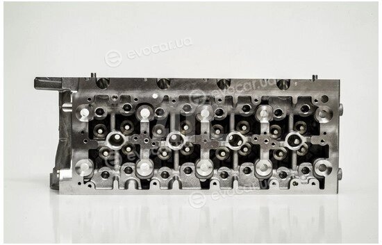 AMC 908739