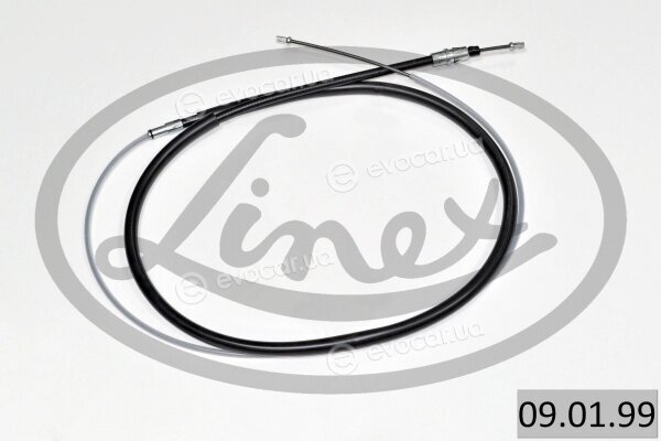 Linex 09.01.99