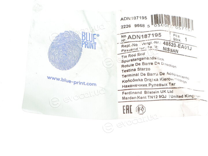 Blue Print ADN187195