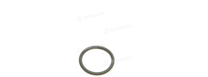 Elring 492.160