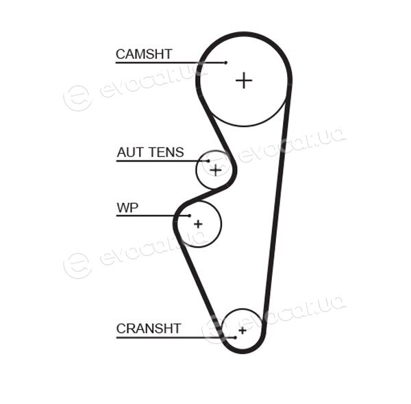 Gates K015670XS